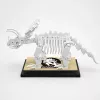 Mould King Triceratops Dinosaur Fossil 29006 bouwstenenset (397 onderdelen)