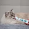 VETEXPERT TrichoCat Anti-Hairball Pasta voor katten 50 g