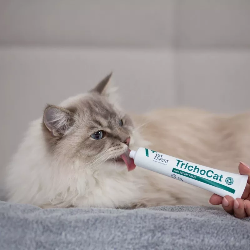 VETEXPERT TrichoCat Anti-Hairball Pasta voor katten 50 g