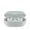 Beats Solo Buds True Wireless oordopjes met microfoon, Storm Gray