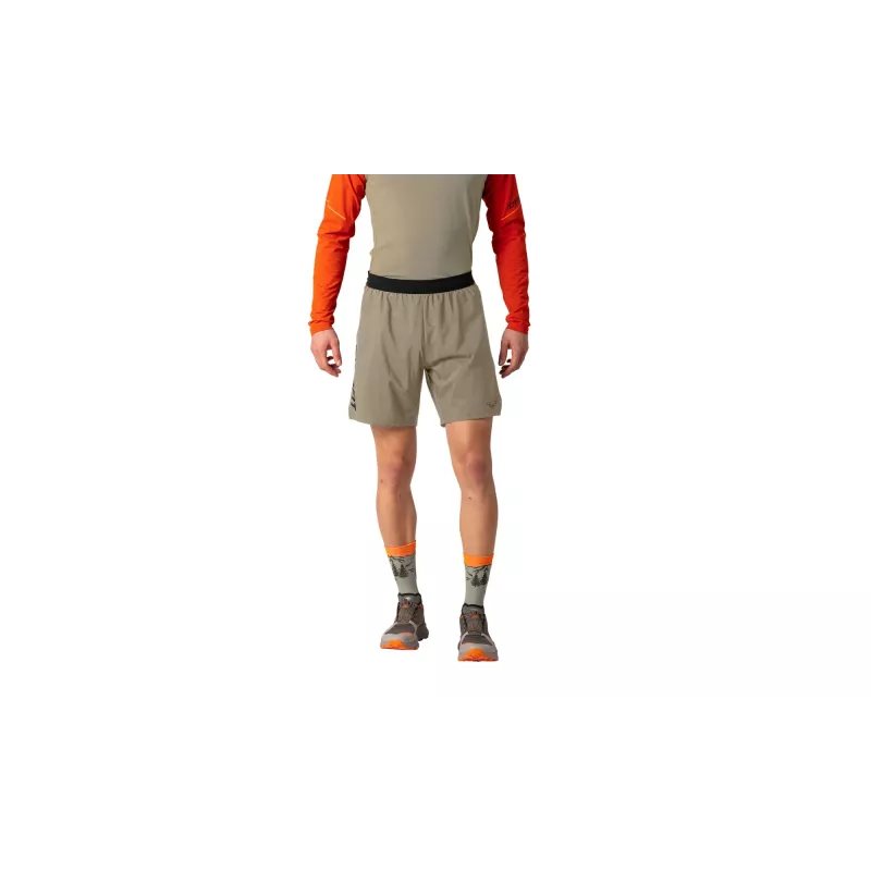 SALEWA Dynafit Alpine Pro 2/1 Shorts - Fallen Rock - XL