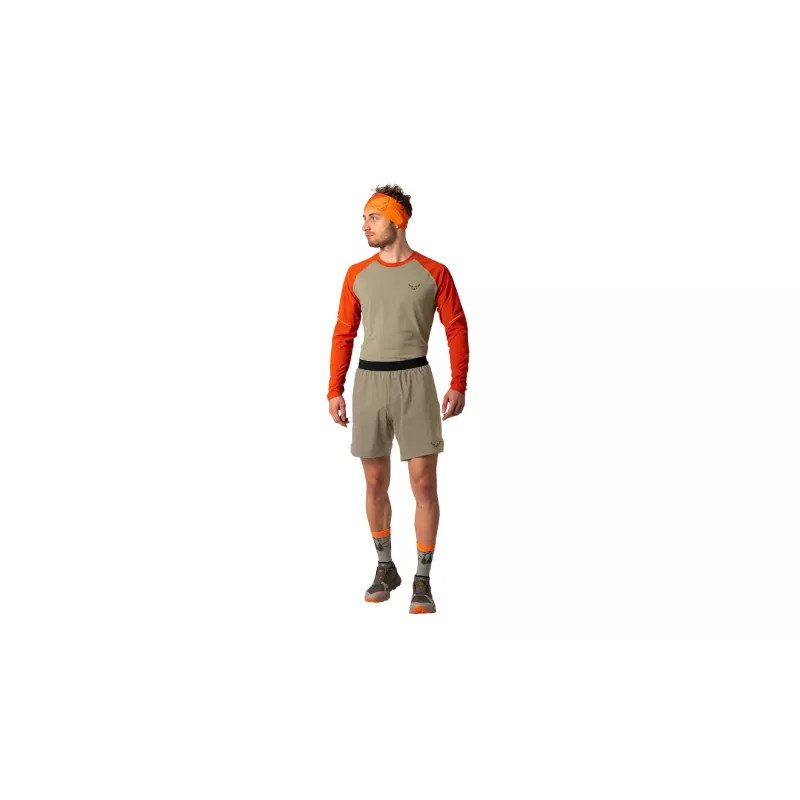 SALEWA Dynafit Alpine Pro 2/1 Shorts - Fallen Rock - XL