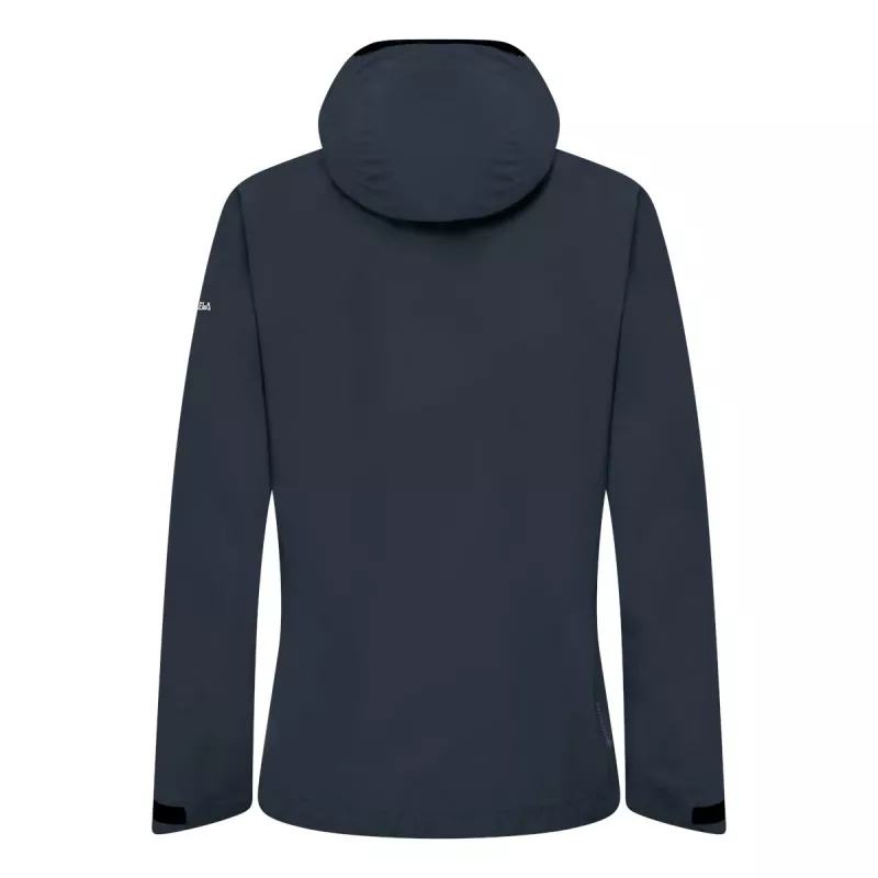 Salewa Puez GTX 3L Epe Jacket - Blueberry (Maat S)