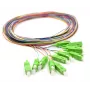 12x pigtail SC/APC singlemode G.657.A2 2m gouden connectoren