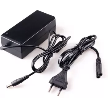 DELTA schakelvoeding 12V 5A 60W