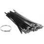 RVS kabelbinders SSCT-250X7.9 100 stuks DELTA montage