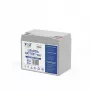 VOLT POLSKA LiFePO4-accu 12V 60Ah 60A