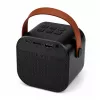 LEAN karaokeset bluetooth-luidspreker twee microfoons LED-verlichting zwart