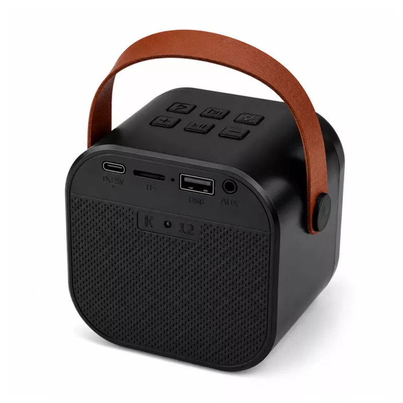 LEAN karaokeset bluetooth-luidspreker twee microfoons LED-verlichting zwart