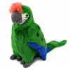 LEAN TOYS pluchen papegaai ara exotische vogel mascotte knuffeldier groen 24 cm