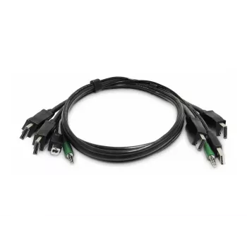 StarTech.com 2-poorts DVI-I USB KVM-switch met audio-ondersteuning - TAA-conform
