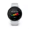 Garmin Forerunner 170 Whitestone met Whitestone/Cloud Blue Band
