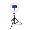 CELLY Ring Professional statief met licht - 160 cm, 10 inch LED-ringlamp, USB-gevoed, zwart