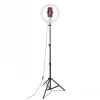 CELLY Ring Professional statief met licht - 160 cm, 10 inch LED-ringlamp, USB-gevoed, zwart