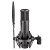 sE Electronics sE2200 Black studio-condensatormicrofoon