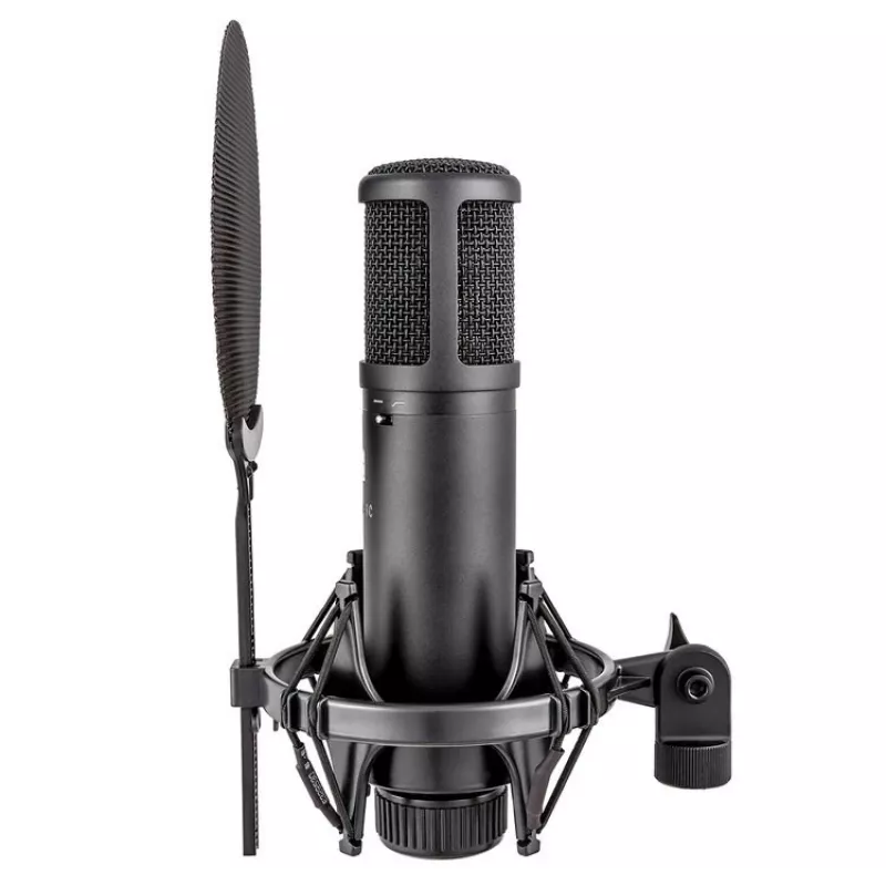 sE Electronics sE2200 Black studio-condensatormicrofoon