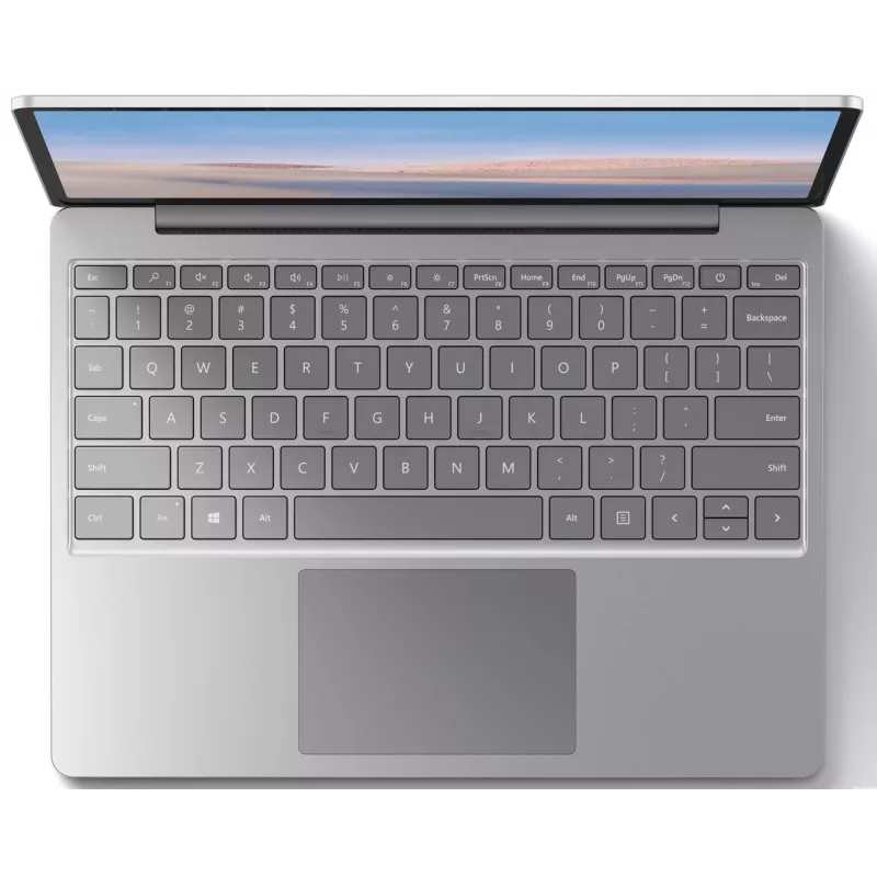 Microsoft Surface Go Intel Core i5-1035G4 8GB RAM 256GB SSD 12,3 inch touchscreen Windows 10 Pro platina