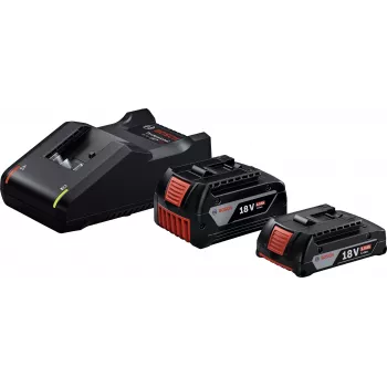 Starter-set 18V (GBA 18V 4.0/2.0Ah + GAL 18V-40 Professional) (zwart, 2x Li-Ion accu, AMPShare Alliance)