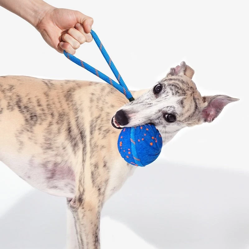 Cheerble Wicked Ball Air Rope hondenspeelgoed, Royal Blue