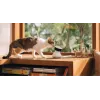 PETLIBRO Scout Smart AI camera