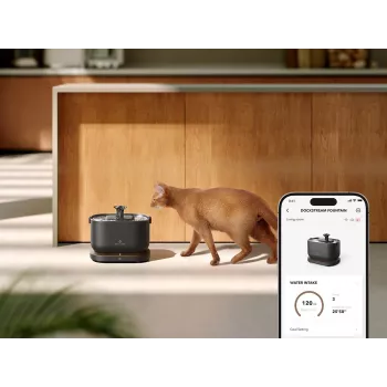 Petlibro Dockstream app-waterfontein, zwart