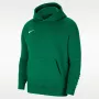 Nike Park 20 fleece pullover hoodie dennengroen CW6896-302