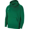 Nike Park 20 fleece pullover hoodie dennengroen CW6896-302