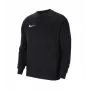 Nike Park 20 heren fleece pullover hoodie zwart CW6902-010