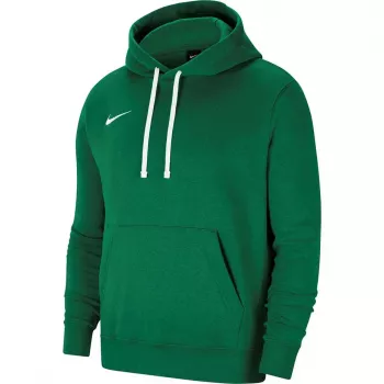 Nike Park 20 hoodie groen Spark CW6957 302