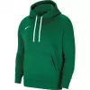 Nike Park 20 hoodie Pine Green CW6957 302 heren fleece pullover
