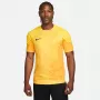 Nike Dri-FIT ADV Gardien IV herenkeeperstruitje Opti Yellow/zwart M