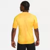 Nike Dri-FIT ADV Gardien IV herenkeeperstruitje Opti Yellow/zwart M