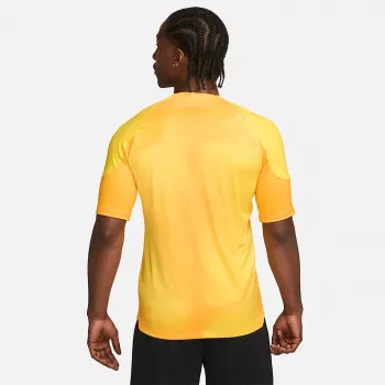 Nike Dri-FIT ADV Gardien IV herenkeeperstruitje Opti Yellow/zwart M