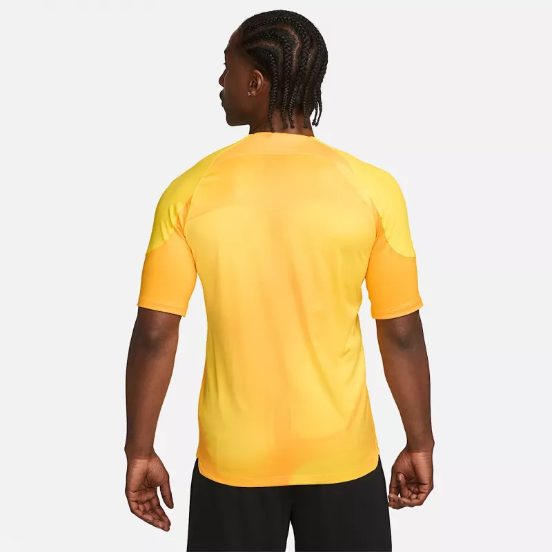 Nike Dri-FIT ADV Gardien IV herenkeeperstruitje Opti Yellow/zwart M