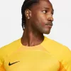 Nike Dri-FIT ADV Gardien IV herenkeeperstruitje Opti Yellow/zwart M
