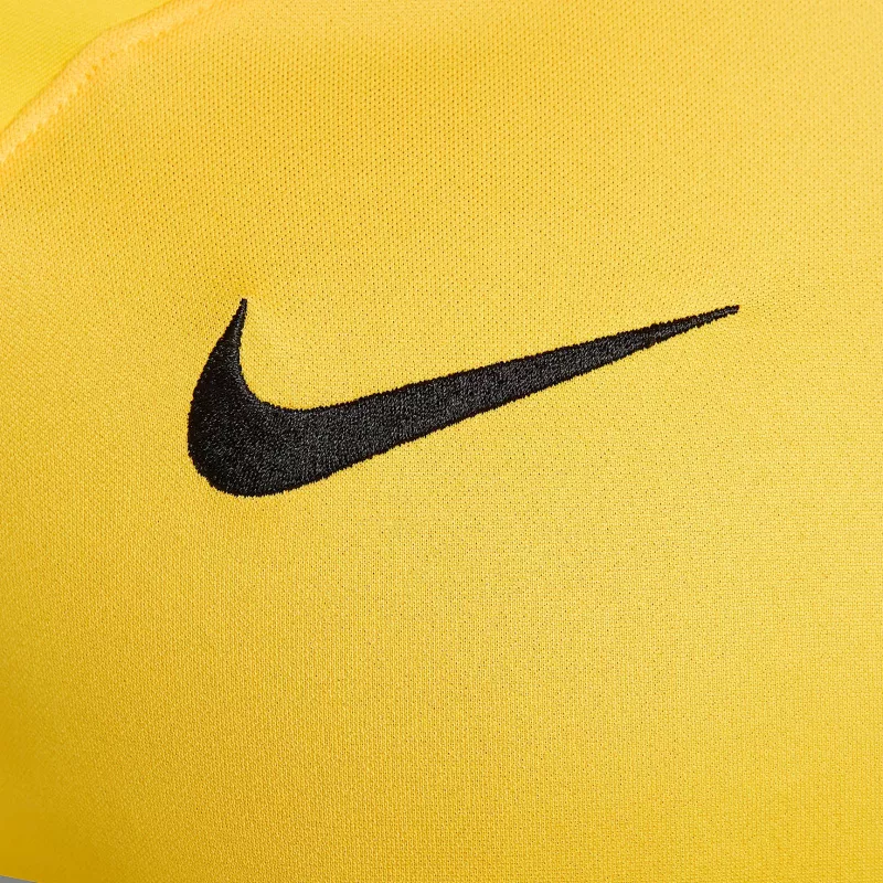 Nike Dri-FIT ADV Gardien IV herenkeeperstruitje Opti Yellow/zwart M