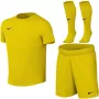 Nike Dri-FIT Park VIII kindervoetbalset geel HV8260 719 XL