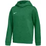 Nike Park 26 fleece hoodie kinderen groen IB1226 302 M