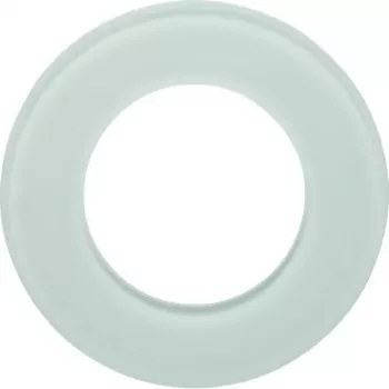 Hager WTD7180GWG 1-voudig glasraam, serie Glas, polarwit