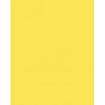 Folia 614/50 12 Geel A4 Karton 300 g/m² 50 vel