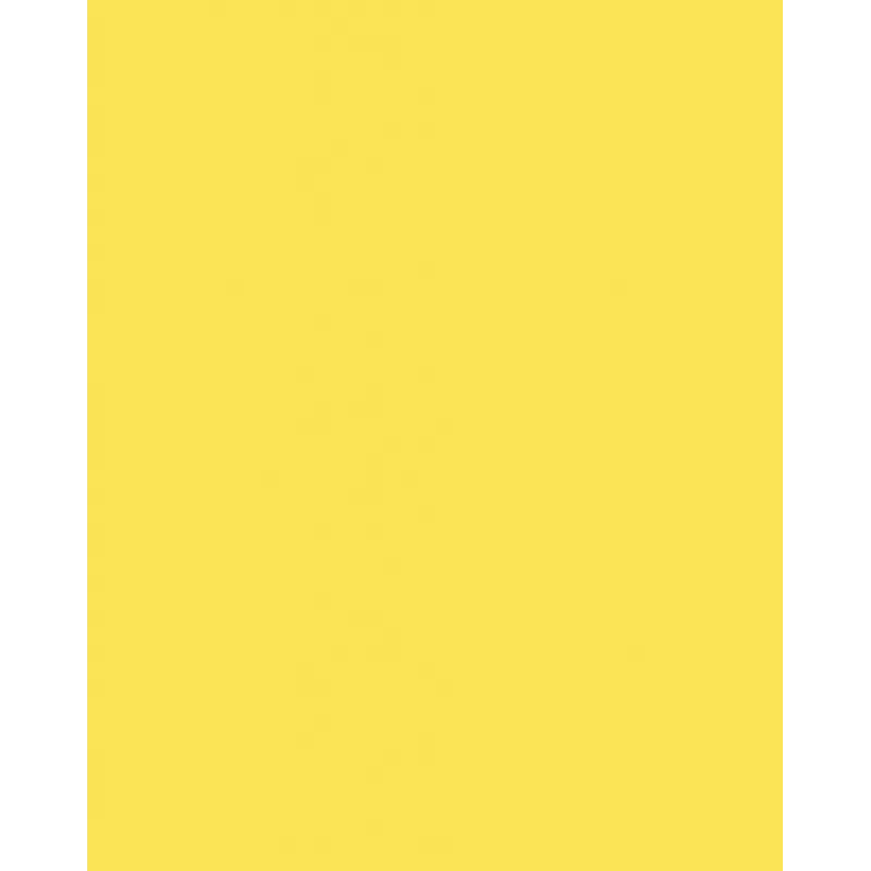 Folia 614/50 12 Geel A4 Karton 300 g/m² 50 vel