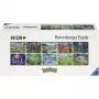 RAVENSBURGER Pokémon Celebration Journey puzzel met 40000 stukjes