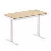 LogiLink zit-sta bureau, enkele motor, 118x60cm, met draadloos laden, wit