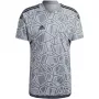 ADIDAS heren Condivo 22 keeperstruitje korte mouw grijs Vier