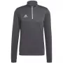 adidas Entrada 22 Trainingsshirt Grijs Vier 2XL
