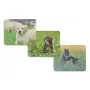 Hama Animal 4-poorts USB 2.0 hub met USB-C-aansluiting, bruin/wit hondenontwerp