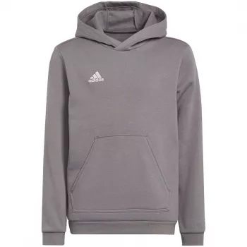 adidas Entrada 22 Hoody Kinderen Sweatshirt Grijs 116 cm