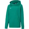 PUMA teamGOAL 23 Casuals hoodie junior sweatshirt woudgroen 128
