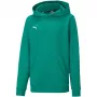 PUMA teamGOAL 23 Casuals hoodie junior sweatshirt woudgroen 128