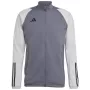 adidas Tiro 23 Competition herentrainingssweatshirt grijs HP1908
